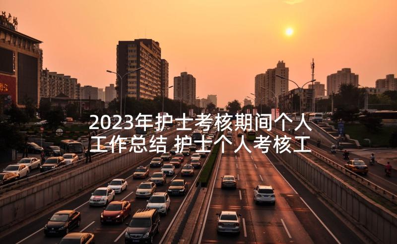 2023年护士考核期间个人工作总结 护士个人考核工作总结(优质6篇)