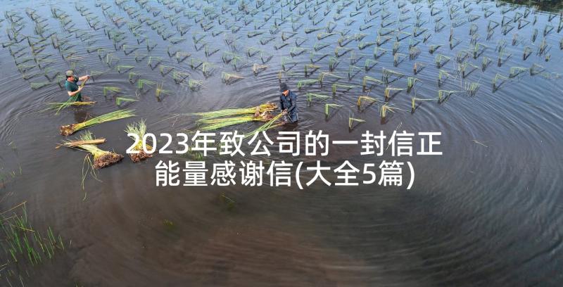 2023年致公司的一封信正能量感谢信(大全5篇)