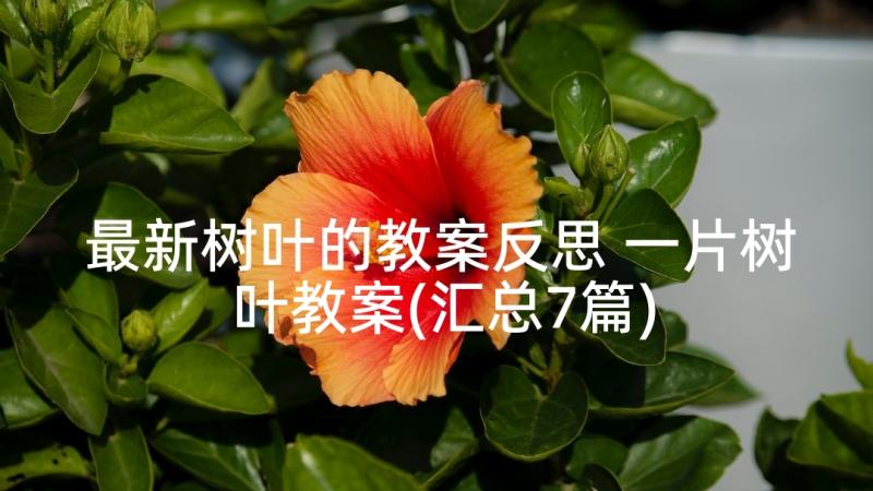 最新树叶的教案反思 一片树叶教案(汇总7篇)