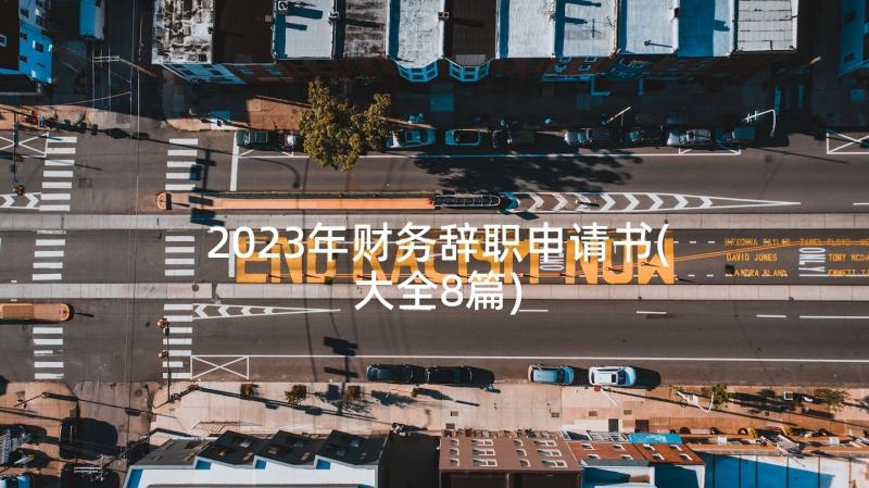 2023年财务辞职申请书(大全8篇)