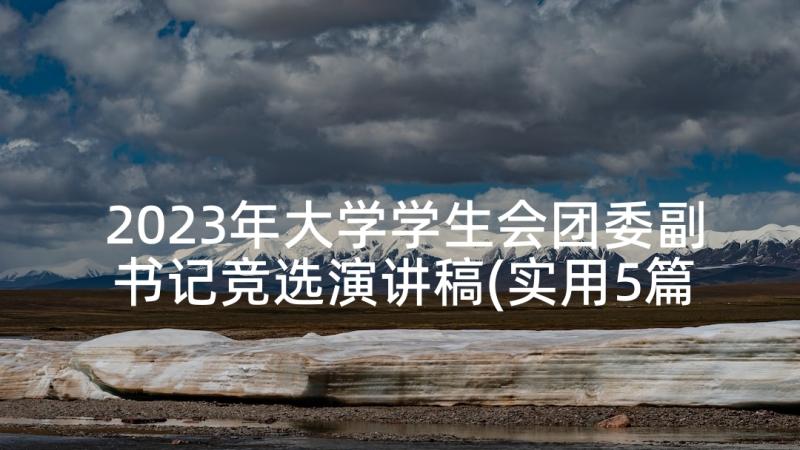 2023年大学学生会团委副书记竞选演讲稿(实用5篇)