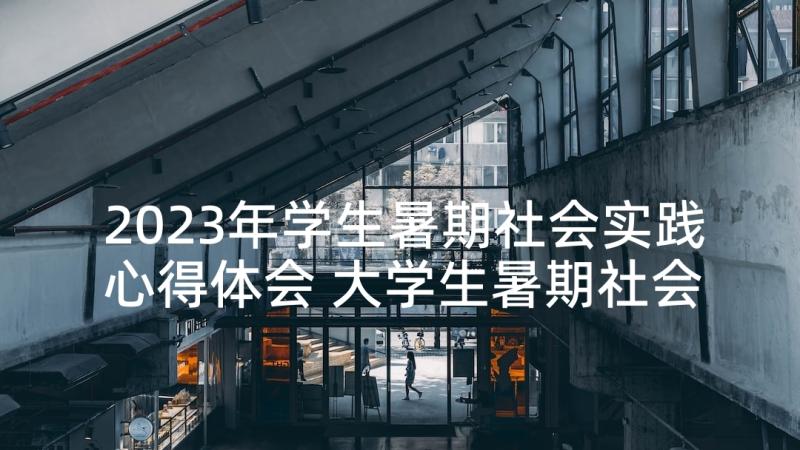 2023年学生暑期社会实践心得体会 大学生暑期社会工作实习报告(实用5篇)