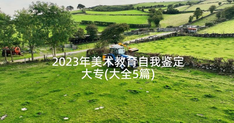 2023年美术教育自我鉴定大专(大全5篇)