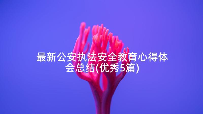 最新公安执法安全教育心得体会总结(优秀5篇)