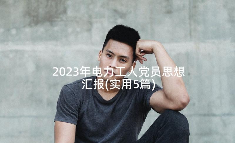 2023年电力工人党员思想汇报(实用5篇)