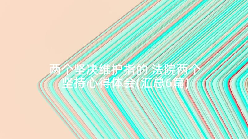 两个坚决维护指的 法院两个坚持心得体会(汇总6篇)