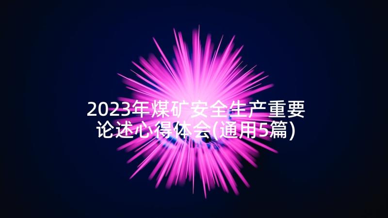 2023年煤矿安全生产重要论述心得体会(通用5篇)