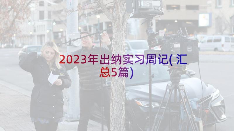 2023年出纳实习周记(汇总5篇)