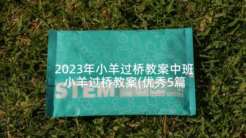 2023年小羊过桥教案中班 小羊过桥教案(优秀5篇)