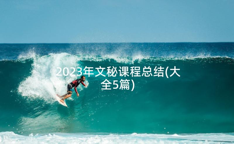 2023年文秘课程总结(大全5篇)