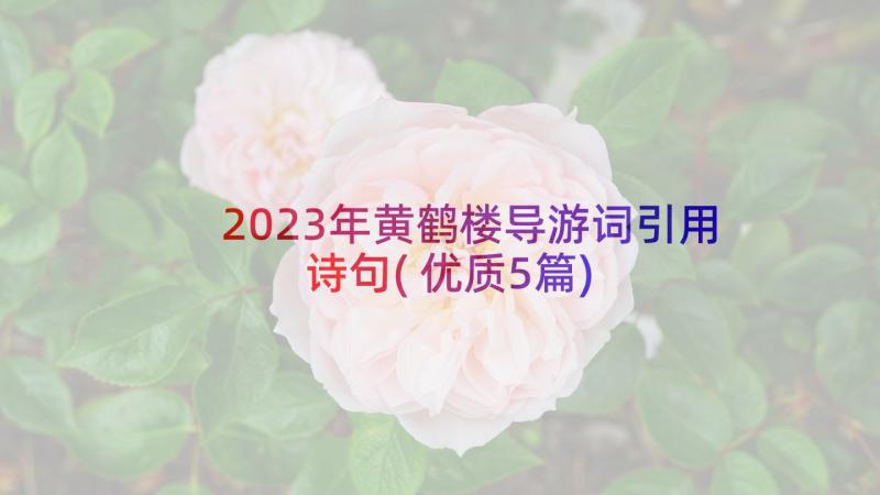 2023年黄鹤楼导游词引用诗句(优质5篇)