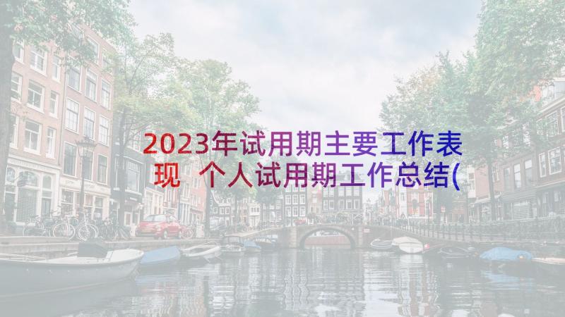 2023年试用期主要工作表现 个人试用期工作总结(通用7篇)