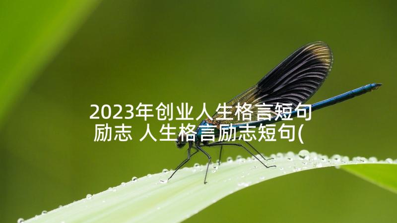 2023年创业人生格言短句励志 人生格言励志短句(优秀5篇)