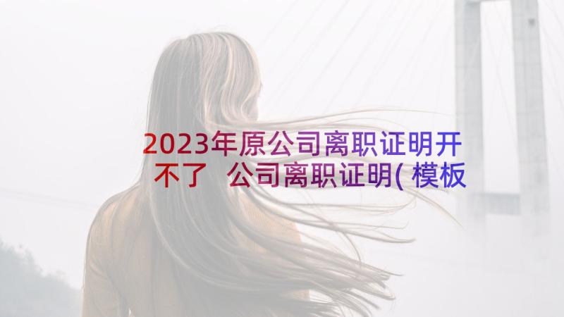 2023年原公司离职证明开不了 公司离职证明(模板7篇)