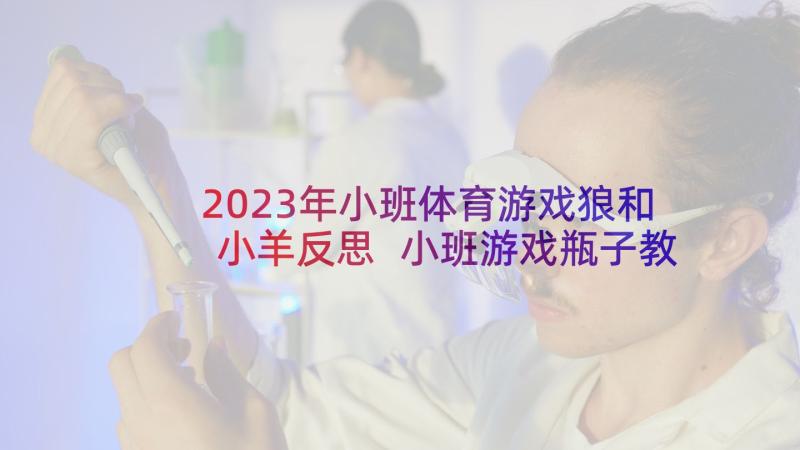 2023年小班体育游戏狼和小羊反思 小班游戏瓶子教案反思(优质6篇)