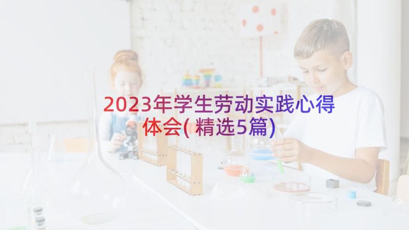 2023年学生劳动实践心得体会(精选5篇)
