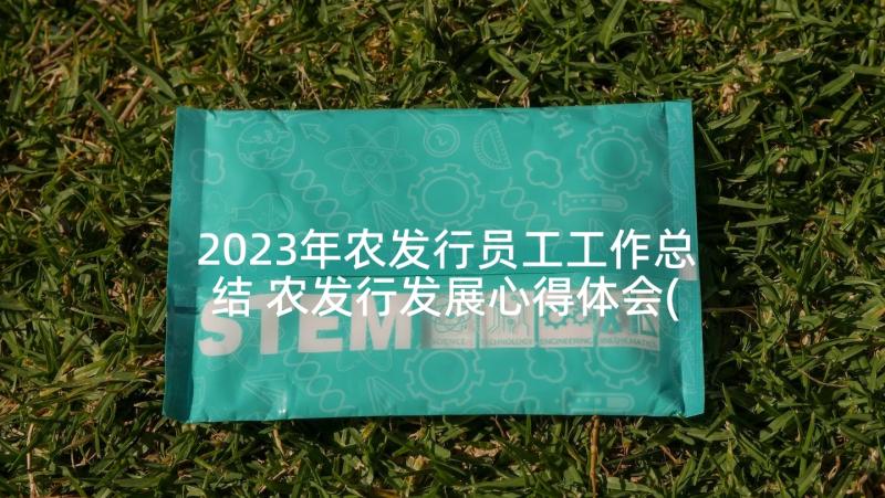 2023年农发行员工工作总结 农发行发展心得体会(实用5篇)