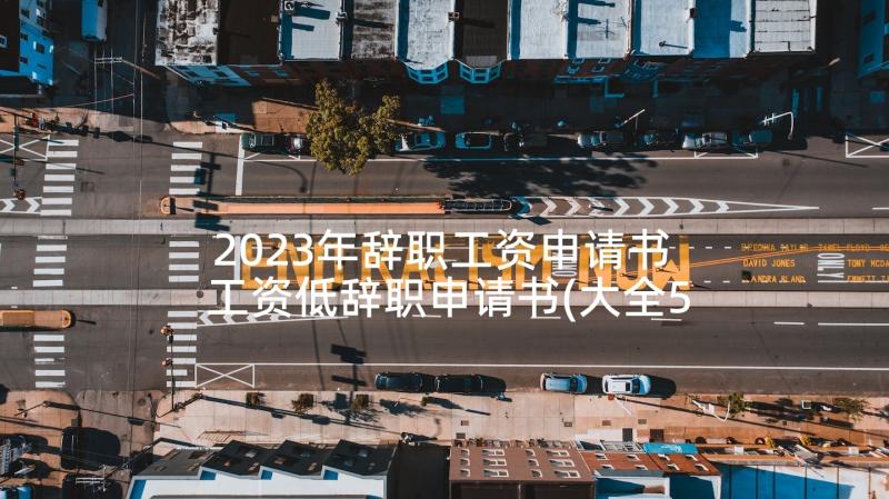 2023年辞职工资申请书 工资低辞职申请书(大全5篇)