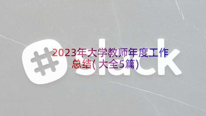 2023年大学教师年度工作总结(大全5篇)