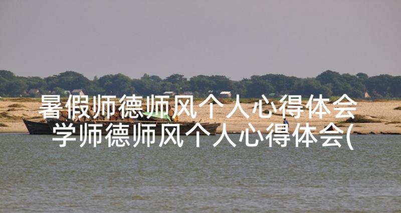 暑假师德师风个人心得体会 学师德师风个人心得体会(实用5篇)