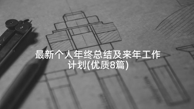 最新个人年终总结及来年工作计划(优质8篇)