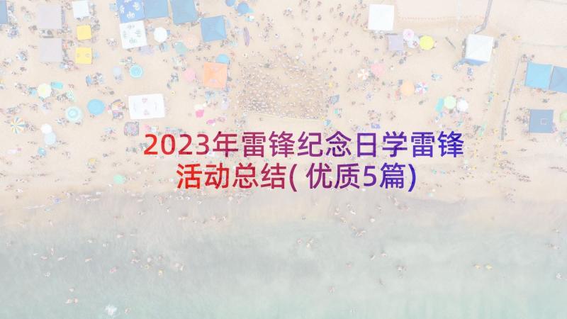 2023年雷锋纪念日学雷锋活动总结(优质5篇)