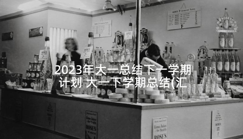 2023年大一总结下一学期计划 大一下学期总结(汇总5篇)