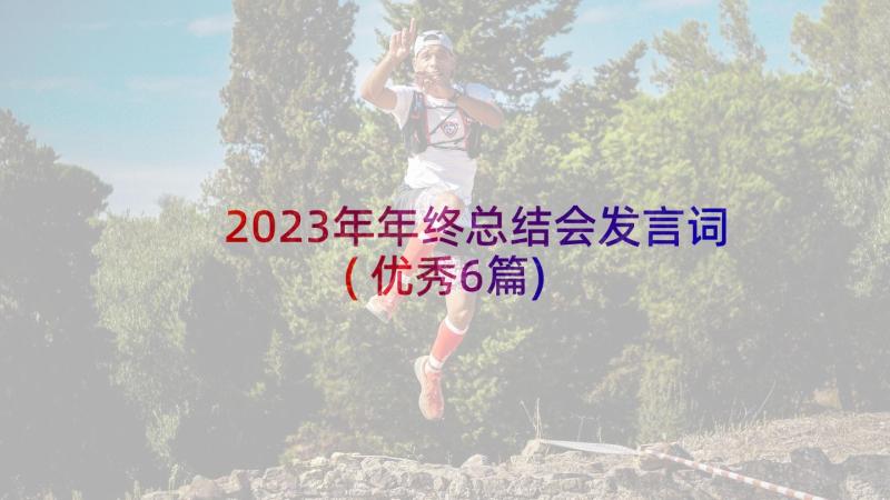 2023年年终总结会发言词(优秀6篇)