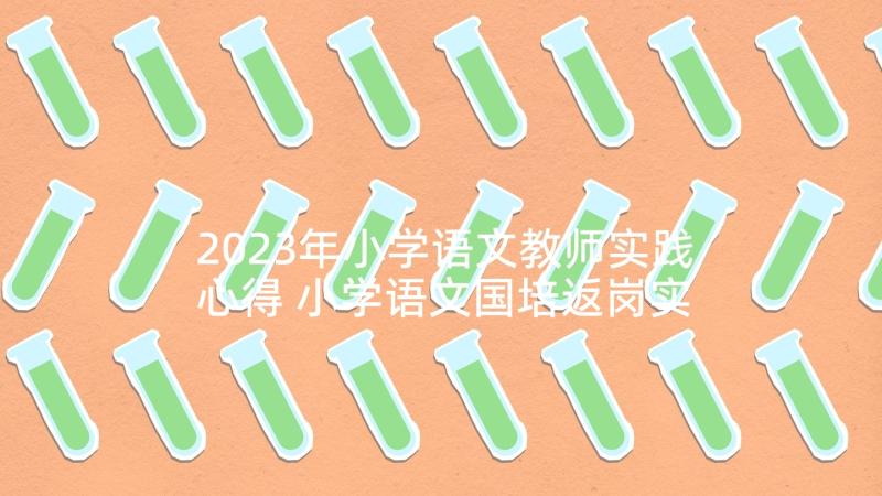 2023年小学语文教师实践心得 小学语文国培返岗实践心得体会(通用7篇)