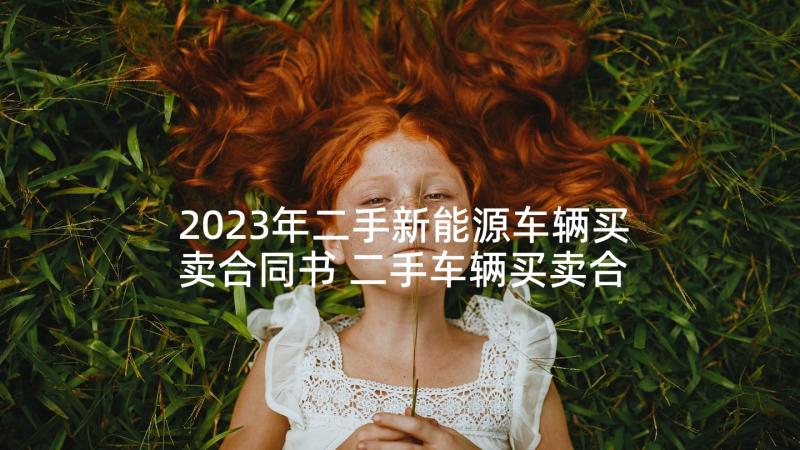 2023年二手新能源车辆买卖合同书 二手车辆买卖合同书(模板5篇)