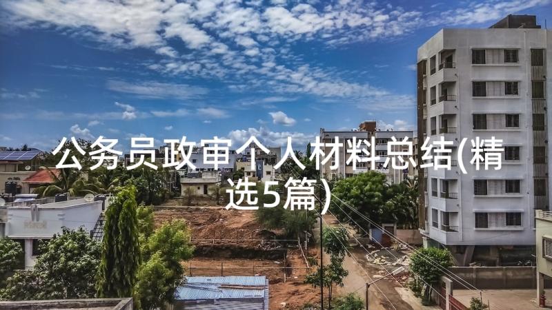 公务员政审个人材料总结(精选5篇)