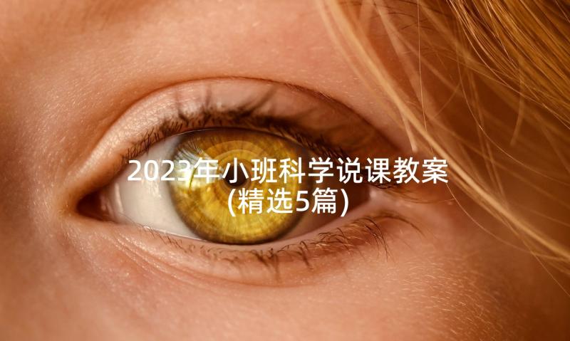 2023年小班科学说课教案(精选5篇)