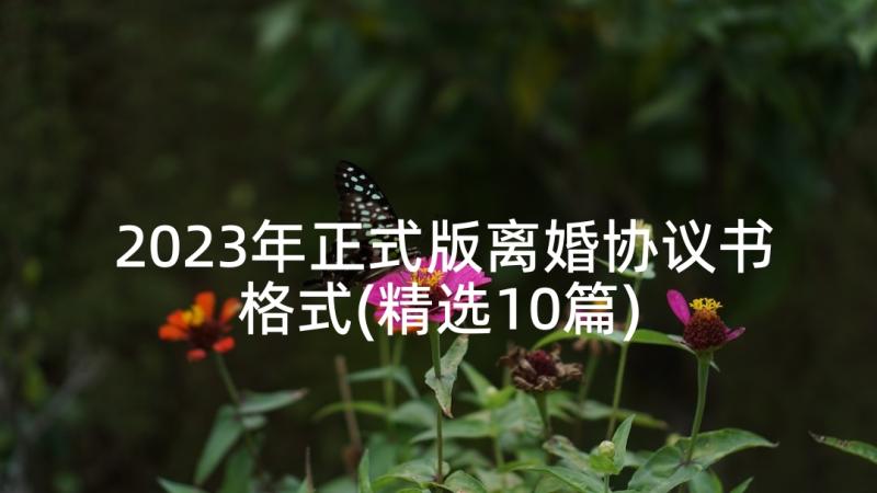 2023年正式版离婚协议书格式(精选10篇)