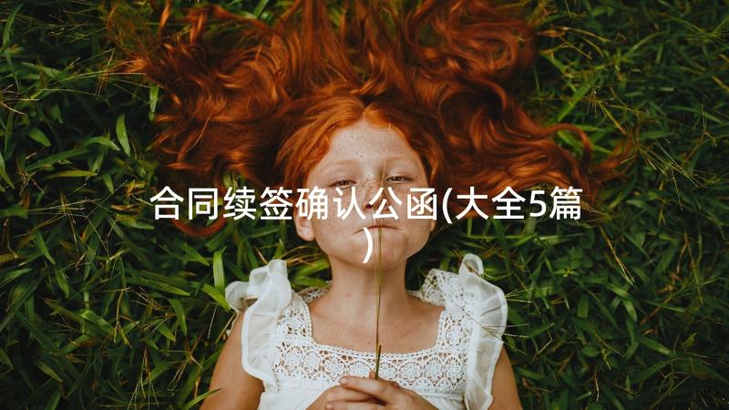 合同续签确认公函(大全5篇)