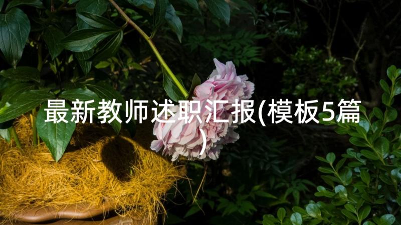 最新教师述职汇报(模板5篇)