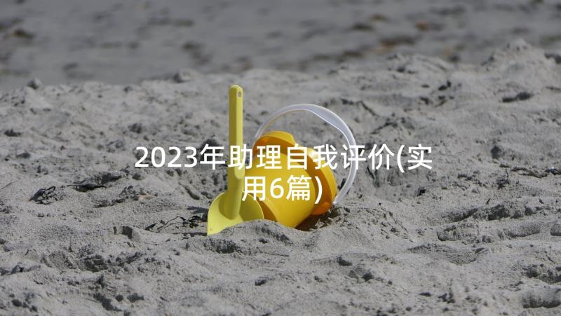 2023年助理自我评价(实用6篇)