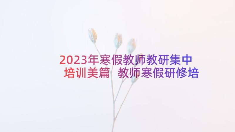 2023年寒假教师教研集中培训美篇 教师寒假研修培训心得体会集锦(实用9篇)