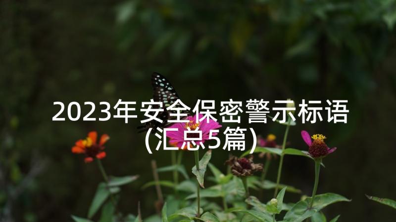 2023年安全保密警示标语(汇总5篇)