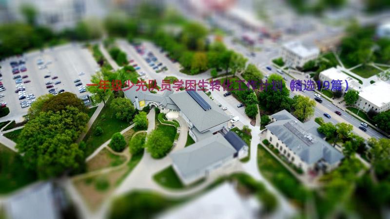 一年级少先队员学困生转化工作计划（精选19篇）