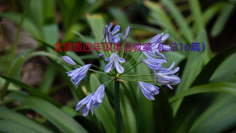 北师版四年级英语教案（汇总16篇）