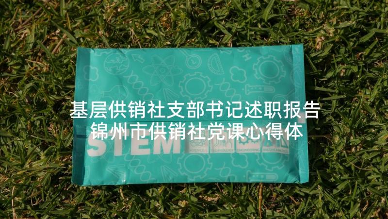 基层供销社支部书记述职报告 锦州市供销社党课心得体会(优质9篇)