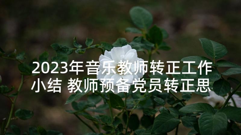 2023年音乐教师转正工作小结 教师预备党员转正思想汇报(实用9篇)