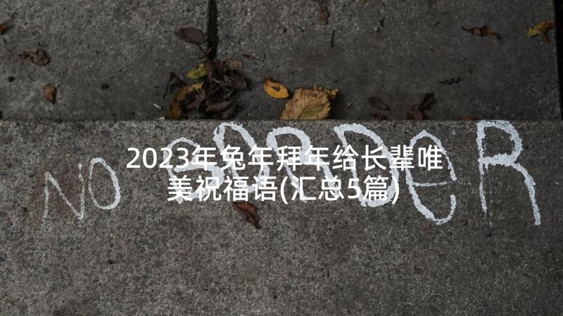 2023年兔年拜年给长辈唯美祝福语(汇总5篇)