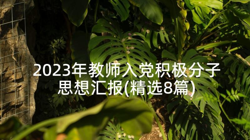 2023年教师入党积极分子思想汇报(精选8篇)