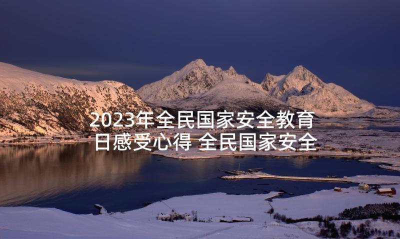 2023年全民国家安全教育日感受心得 全民国家安全教育日心得体会(优质5篇)