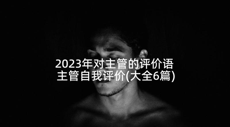 2023年对主管的评价语 主管自我评价(大全6篇)