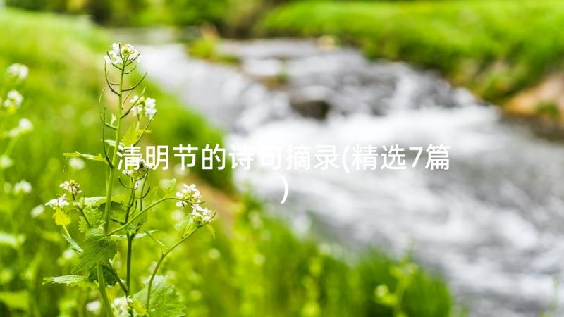 清明节的诗句摘录(精选7篇)