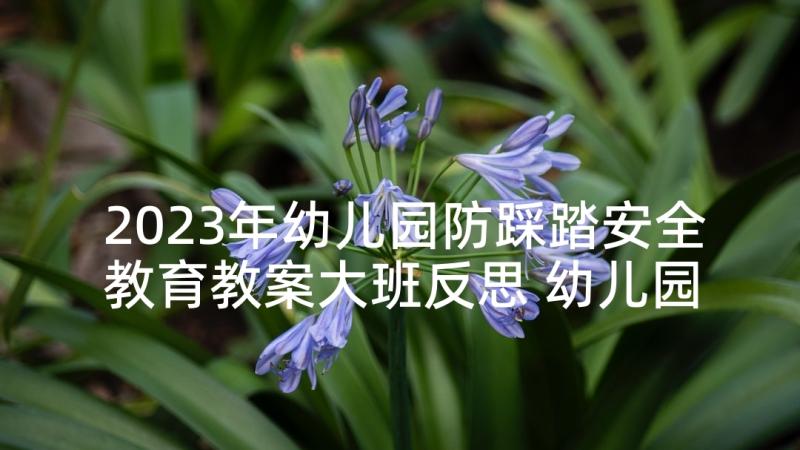 2023年幼儿园防踩踏安全教育教案大班反思 幼儿园防踩踏安全教育活动简报(通用10篇)