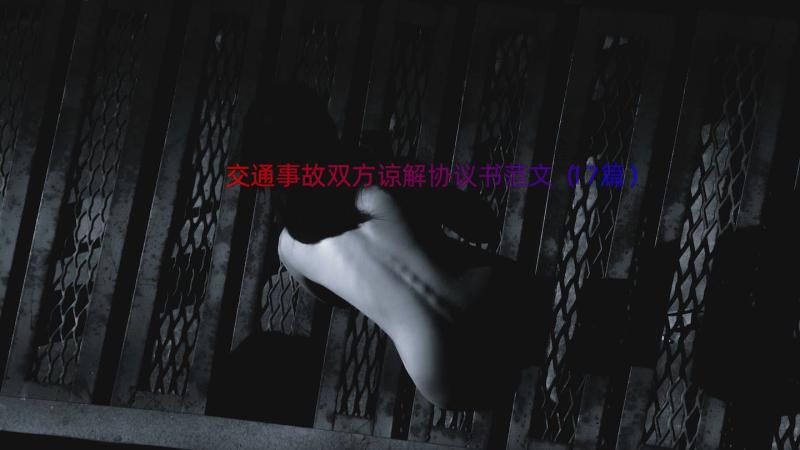 交通事故双方谅解协议书范文（17篇）