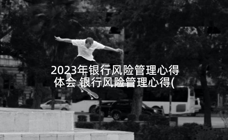 2023年银行风险管理心得体会 银行风险管理心得(汇总5篇)